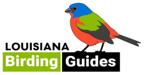 Louisiana Birding Guides